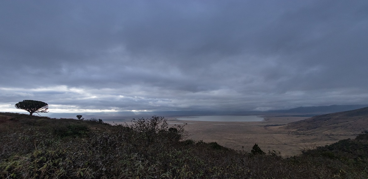 5 DAYS MOUNTAIN KILIMANJARO CLIMB VIA RONGAI ROUTE AND DESCENDING DOWN VIA MARANGU ROUTE.